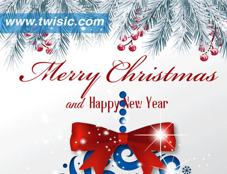 Wish you Merry Christmas and Happy New Year!